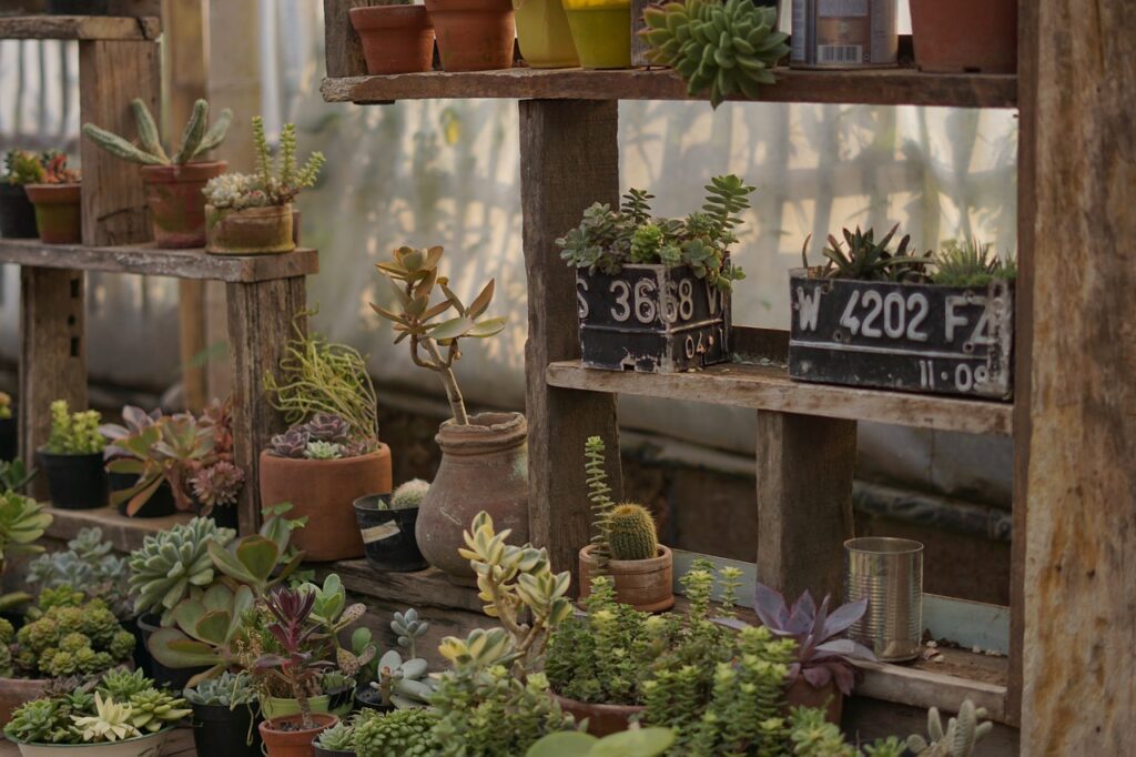growing in pots on a garden rack  