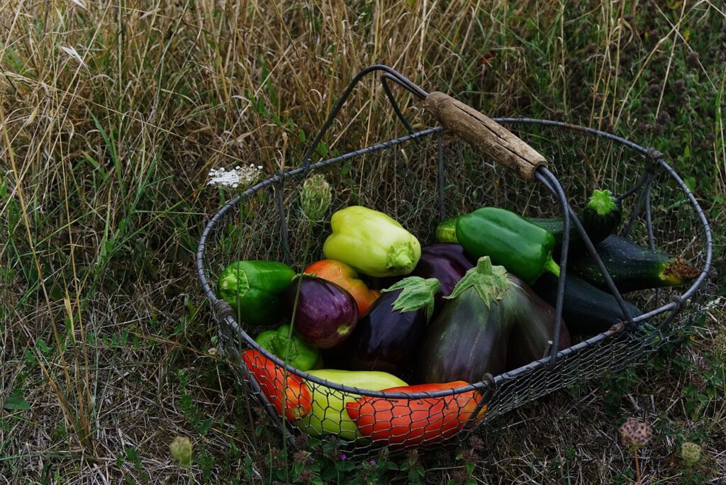 vegetables storage vegetables storage