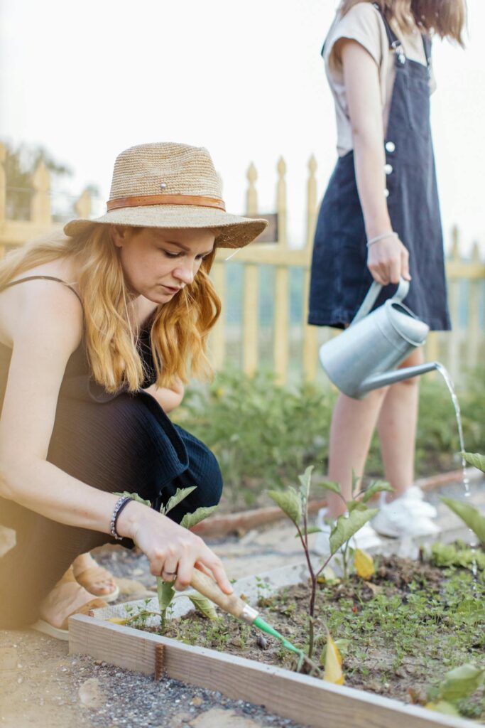 Therapeutic Gardening
