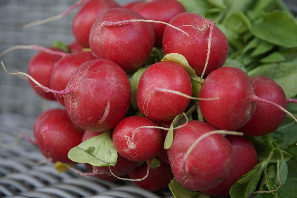Storing vegetables