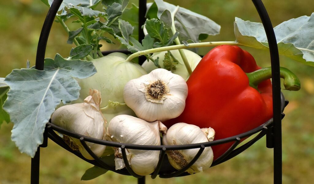 Storing vegetables safely