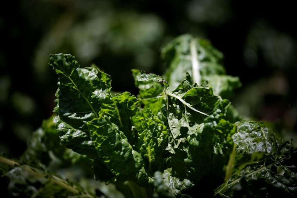 Feeding people with blemished produce