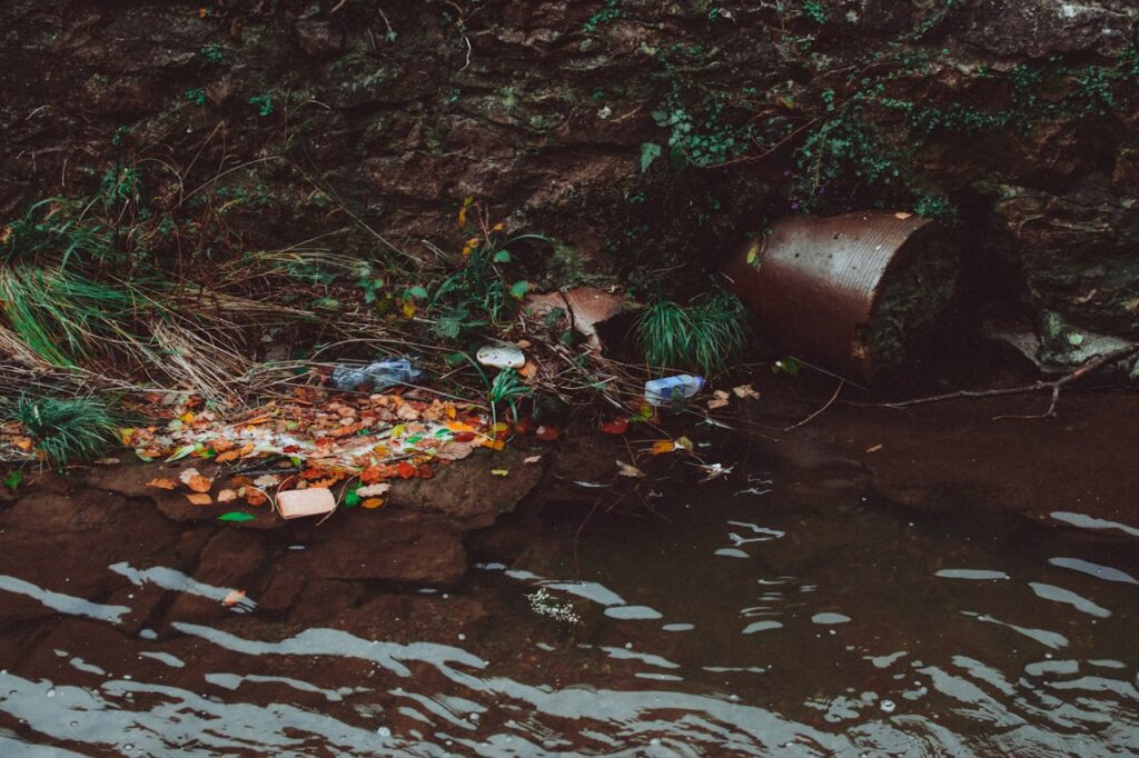 Stop wasting vegetables and use them Stop wasting vegetables and use them